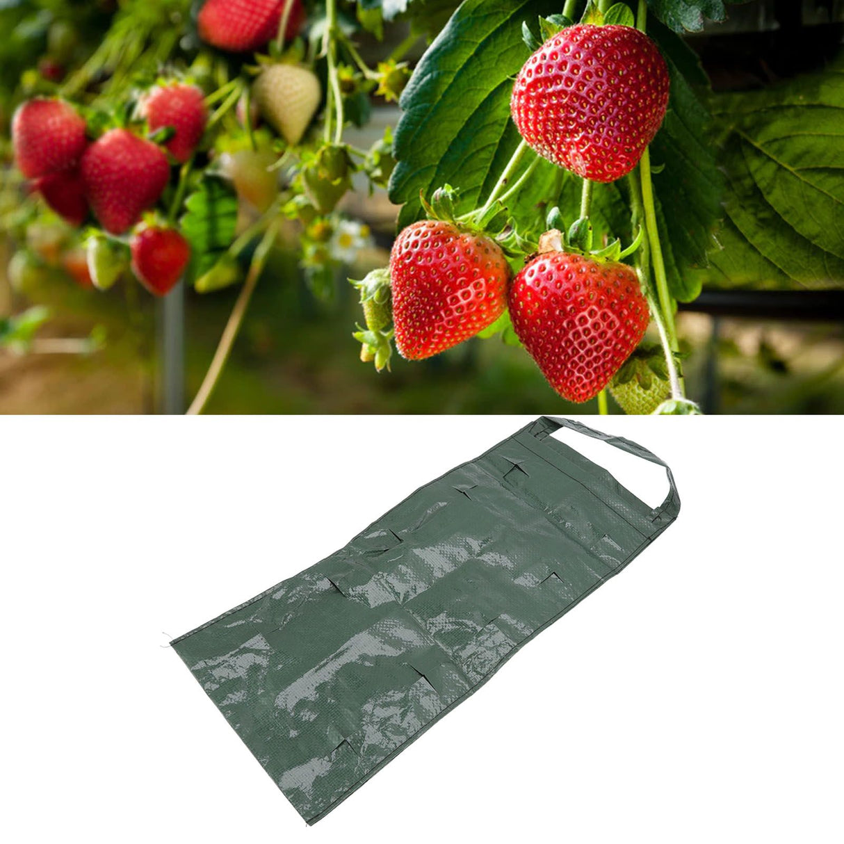 Hanging Planting Bag Multi Holes PE Plant Grow Pouch for Strawberry Vegetable Flower Green 10 Holes