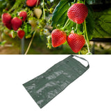 Hanging Planting Bag Multi Holes PE Plant Grow Pouch for Strawberry Vegetable Flower Green 10 Holes