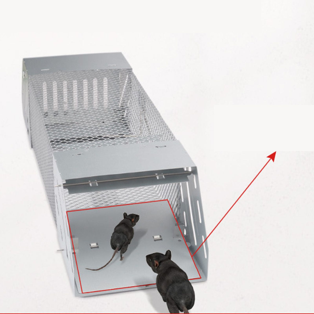 Mice Catch Cage Stainless Steel Full Automatic Dual Door Design Sensitive Mousetrap Cage for Indoor