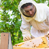 Bee Smoker Bellow PVC Leather Plywood Box Beekeeping Equipment Replacement with Clip for Beehive