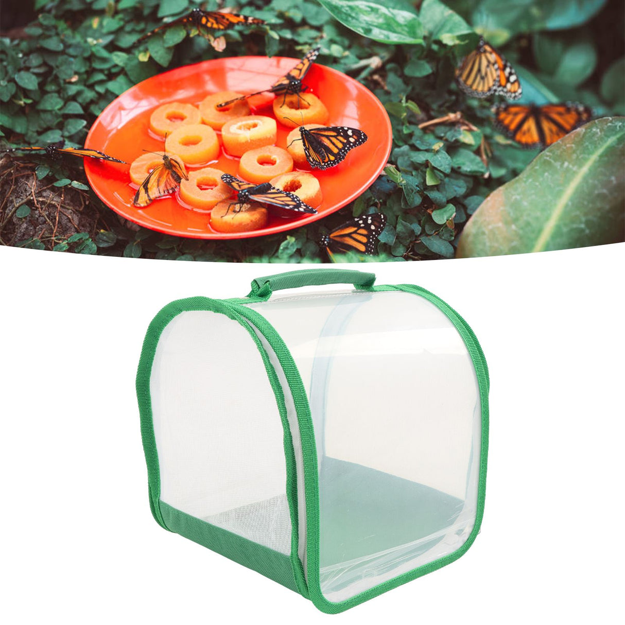 Insect Habitat Cage 360 Degree Full Transparent Portable Folding Insect Mesh Cage for Observation