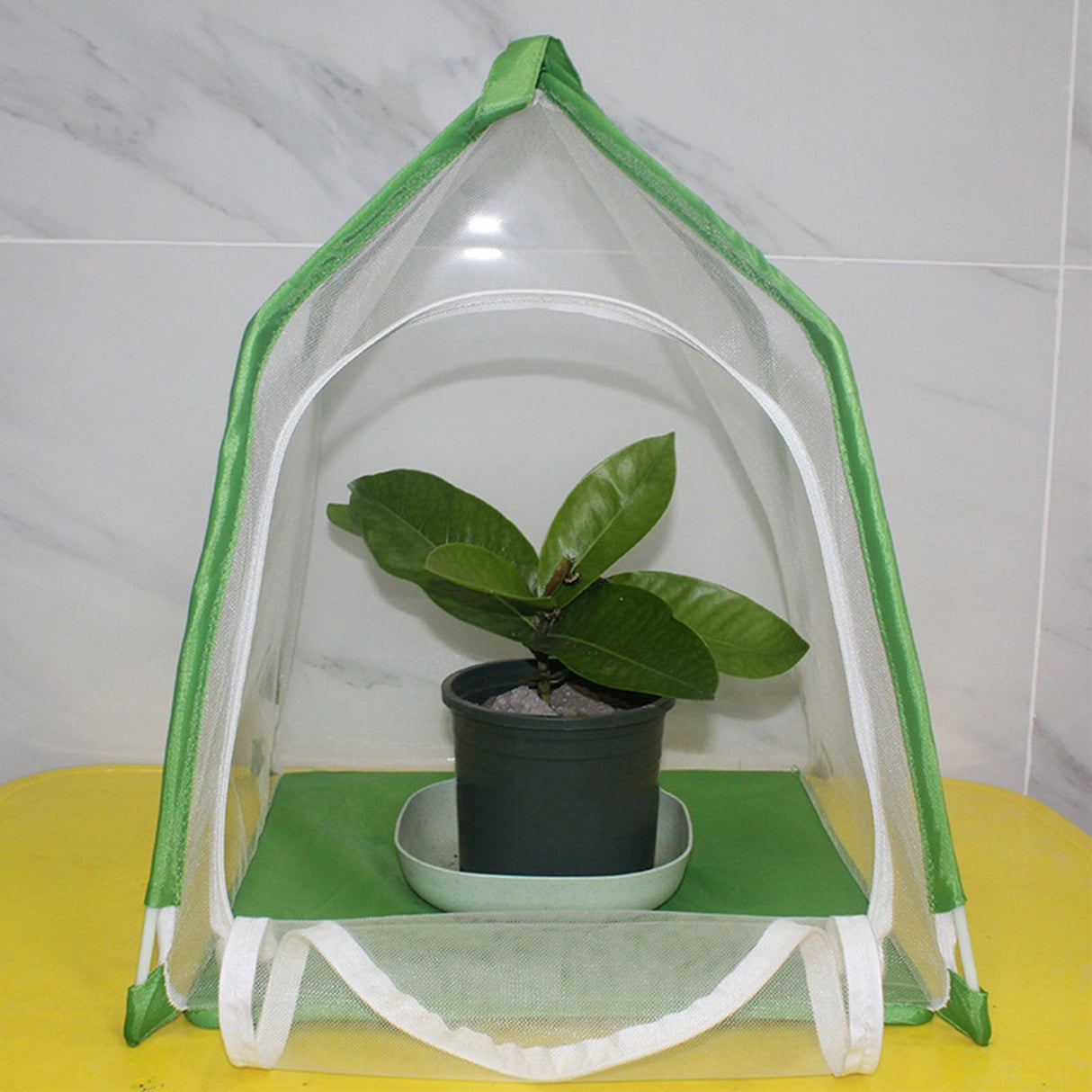 House Shaped Insect Cage Exquisite Ornamental Gardening Cage for Science Education Experiment