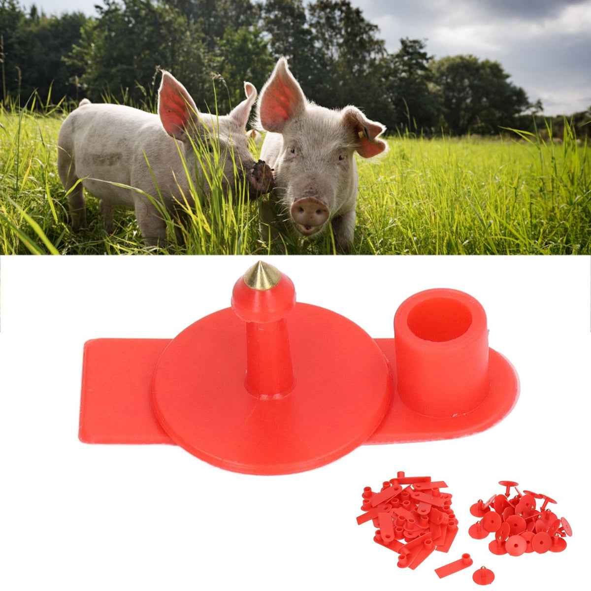 Blank Livestock Ear Tag Handwritable Prevent Shedding Animal Ear Label for Pig Cattle Sheep Red 100 Set