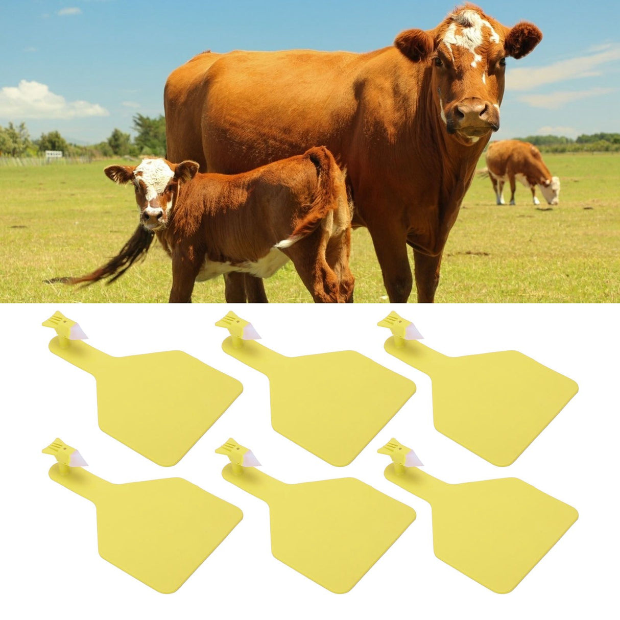 100pcs Blank Livestock Ear Tag Thickened TPU Reusable Animal Ear Label for Dairy Cattle Beef Cattle Yaks Horses Camels Yellow