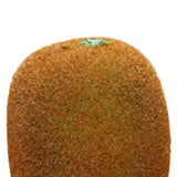 Artificial Fruit Simulation Model Foam Fake Fruit Kindergarten Teaching Aids Decorative Props Kiwi Fruit - Front View