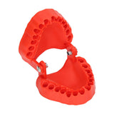 Denture Drill Bit Holder 28 Drill Bits Organizer Portable Denture Bit Holder with Magnet Red - Extra Image