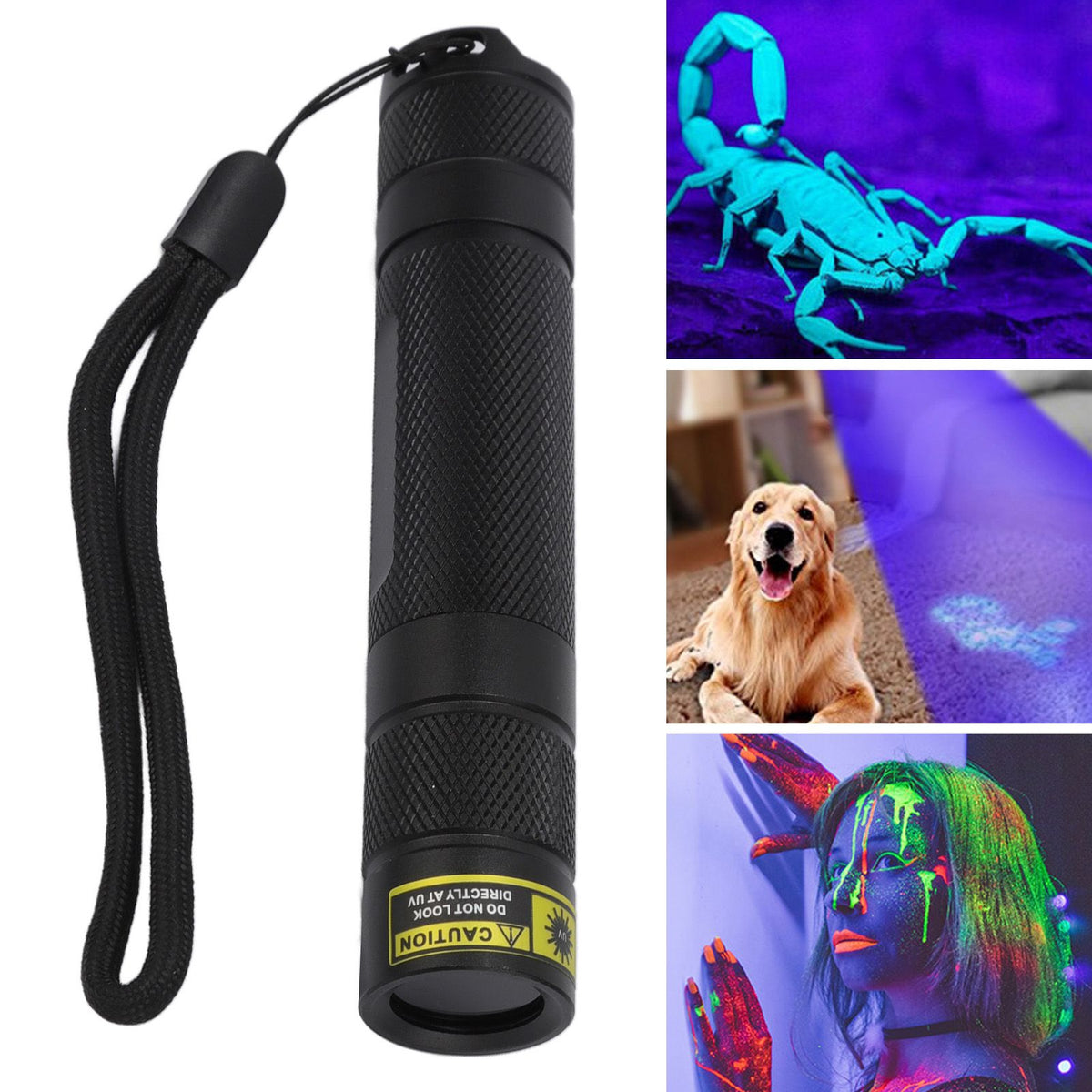 UV Flashlight LED 365nm Aluminium Alloy Battery Powered Widely Used Blacklight Flashlight for Scorpions Pet Urine Resin