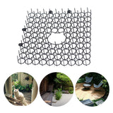 Anti Cat Thorn Pad Plastic Pet Drive Pad Gardening Cat And Dog Repellent Pad - Front View