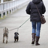 1 pcs Pets Double Head Dog Leash Aluminum Alloy Twin Lead Traction Belt Pets Chains for Walking Two Dogs（40cm） - Rear View