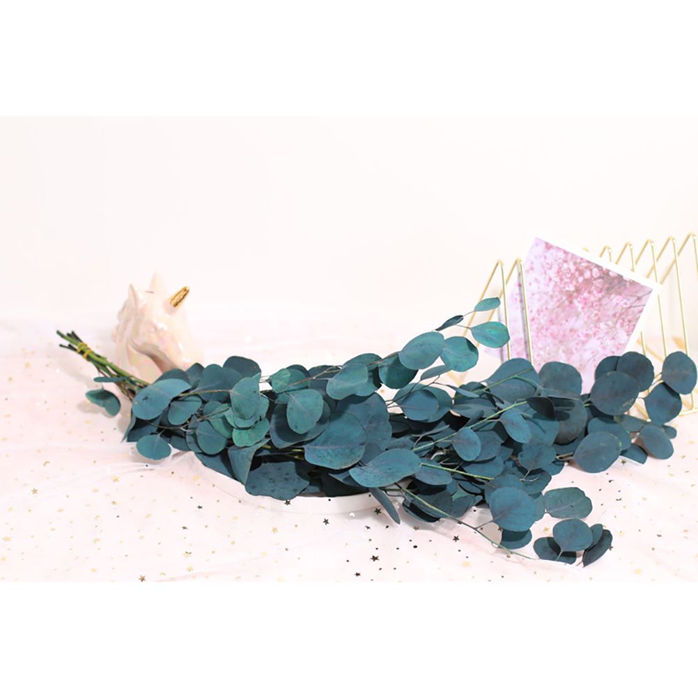 Eucalyptus Dried Flowers Eternal Durability Dried Flowers Bouquet Decoration Home Living Room Decor