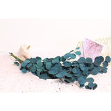 Eucalyptus Dried Flowers Eternal Durability Dried Flowers Bouquet Decoration Home Living Room Decor - Front View