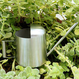 300ml Stainless Steel Watering Kettle with Semi Open Top Indoor Watering Pot - Extra Image