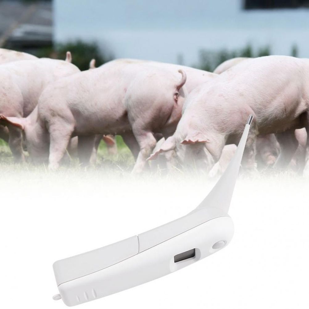 Vet Thermometer Pet Digital Thermometer Electronic Thermometer for Animals