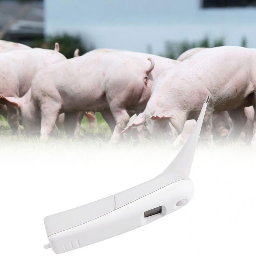 Vet Thermometer Pet Digital Thermometer Electronic Thermometer for Animals