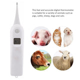 Vet Thermometer Pet Digital Thermometer Electronic Thermometer for Animals - Close-Up Angle
