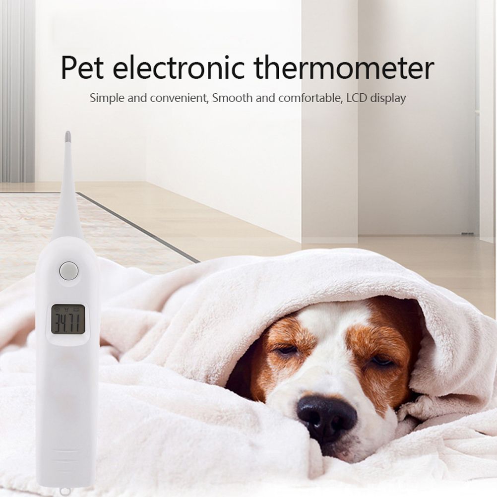 Vet Thermometer Pet Digital Thermometer Electronic Thermometer for Animals