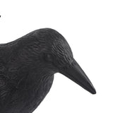 Bird Scarecrow Fake Plastic Crow Black Feathered Crows Bird Repellent for Outdoor Garden Yard - Rear View