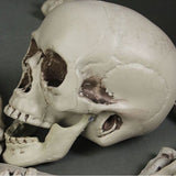 28Pcs Halloween Skeleton Bones Halloween Props Skeleton Tricky Bones Haunted House Party Decorations - Rear View