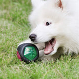 Rubber Dog Ball Puppy Bite Resistant Ball Dental Care Toy for Pet Molar Training Ball
