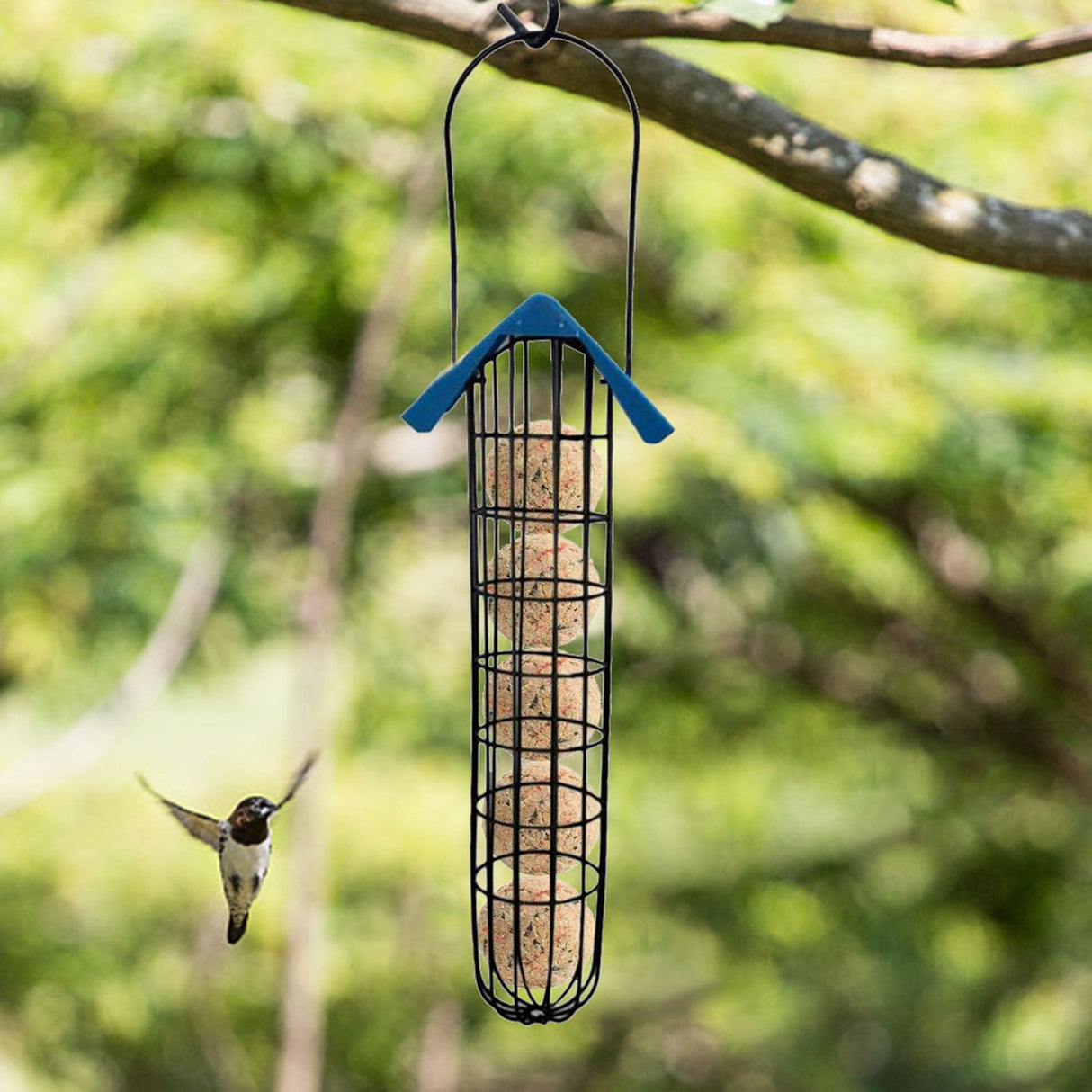 Outdoor Bird Feeder Fat Ball Food Dispenser Wild Bird Hanging Feeder