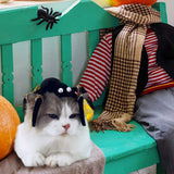 Halloween Spider Cat Toy with Teething Wood Chip Pet Funny Black Spider Legs Cat Toy Halloween Pet Funny Toys
