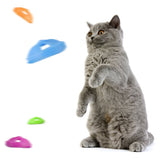 Colorful Flying Saucer Cat Toy Cat Tracks Down Toy Set Flying Disc Toy for Pet - Rear View