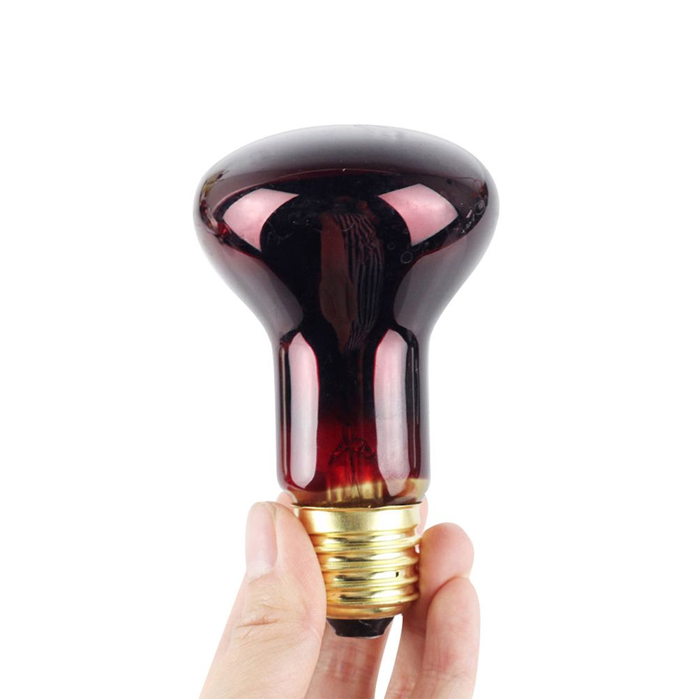 60W Infrared Heat Lamp Red Light Glass Heating Lamp Bulb for Lizard Reptile and Amphibian