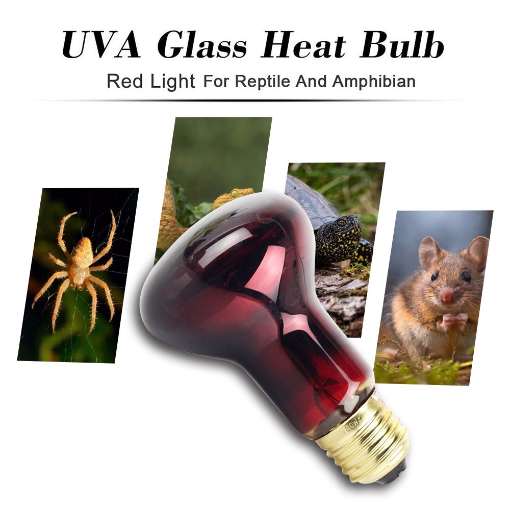 60W Infrared Heat Lamp Red Light Glass Heating Lamp Bulb for Lizard Reptile and Amphibian