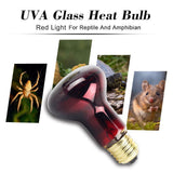 60W Infrared Heat Lamp Red Light Glass Heating Lamp Bulb for Lizard Reptile and Amphibian - Top-Down View