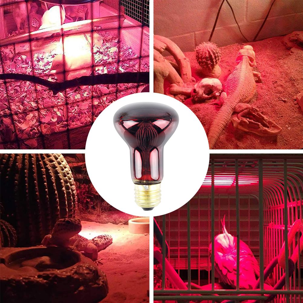 60W Infrared Heat Lamp Red Light Glass Heating Lamp Bulb for Lizard Reptile and Amphibian