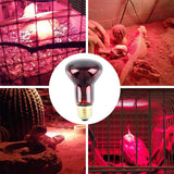 60W Infrared Heat Lamp Red Light Glass Heating Lamp Bulb for Lizard Reptile and Amphibian