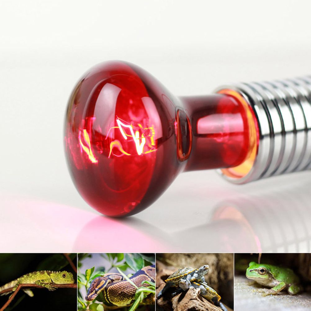 60W Infrared Heat Lamp Red Light Glass Heating Lamp Bulb for Lizard Reptile and Amphibian