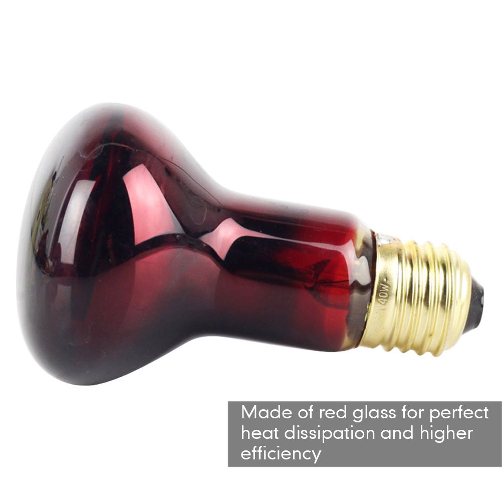 60W Infrared Heat Lamp Red Light Glass Heating Lamp Bulb for Lizard Reptile and Amphibian