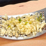 Garlic Press Stainless Steel 2 In 1 Garlic Cutter and Bottle Opener Manual Garlic Cutter Smasher Crusher