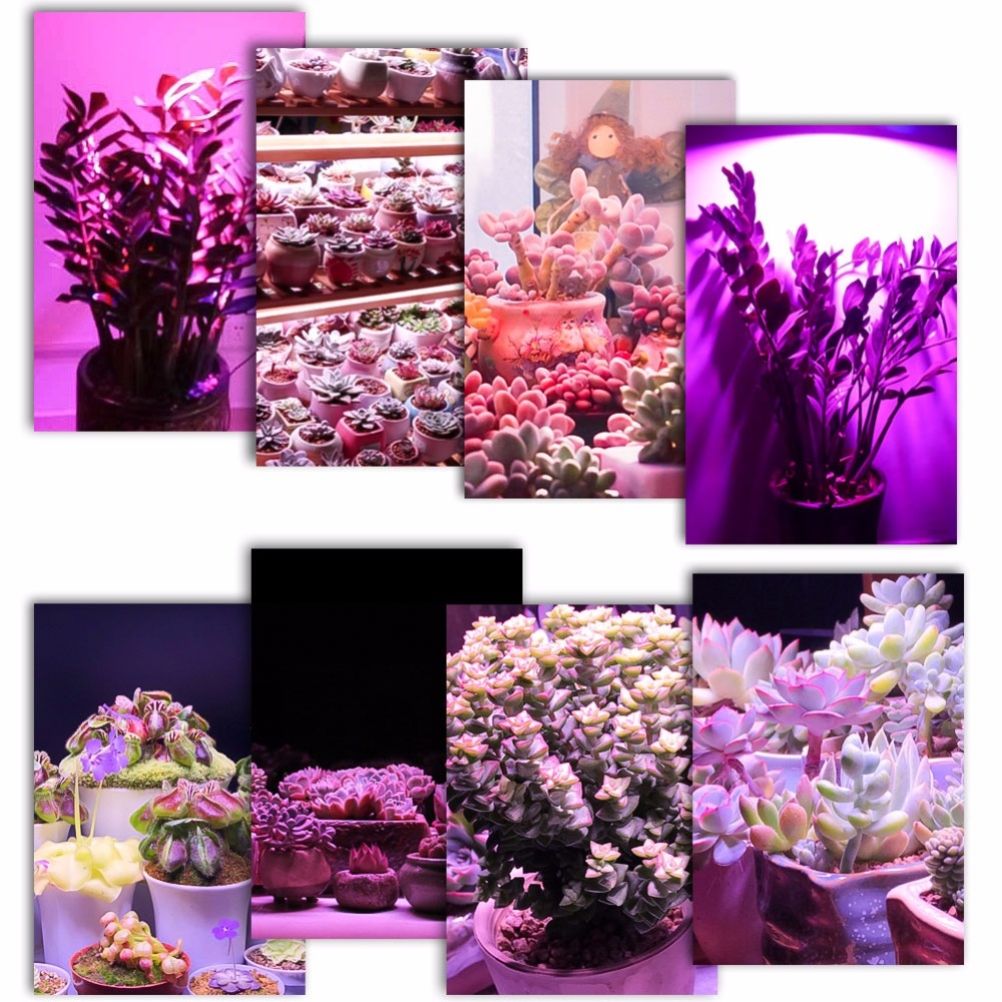 LED Plant Grow Light Bulb E27 Base Grow Light Bulbs Indoor 28W Plants Growing Light Bulb Lamp for Vegetables Greenhouse and Hydroponic
