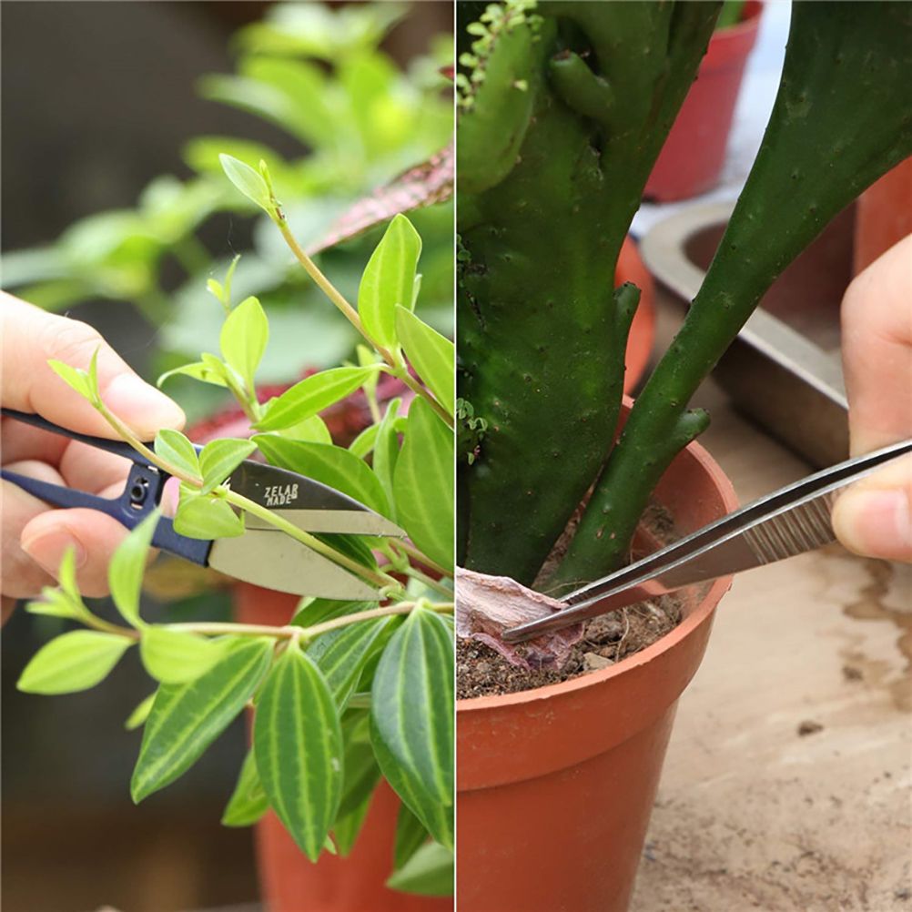 10 Pcs Gardening Bonsai Tools Set Succulent Garden Hand Tool Kit Plant Tool with Shovels Rakes Fork Scissor Cleaning Brush