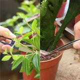 10 Pcs Gardening Bonsai Tools Set Succulent Garden Hand Tool Kit Plant Tool with Shovels Rakes Fork Scissor Cleaning Brush - 45-Degree Angle