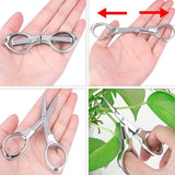 10 Pcs Gardening Bonsai Tools Set Succulent Garden Hand Tool Kit Plant Tool with Shovels Rakes Fork Scissor Cleaning Brush - Rear View