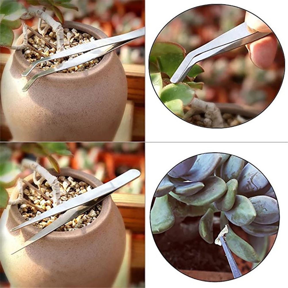 10 Pcs Gardening Bonsai Tools Set Succulent Garden Hand Tool Kit Plant Tool with Shovels Rakes Fork Scissor Cleaning Brush