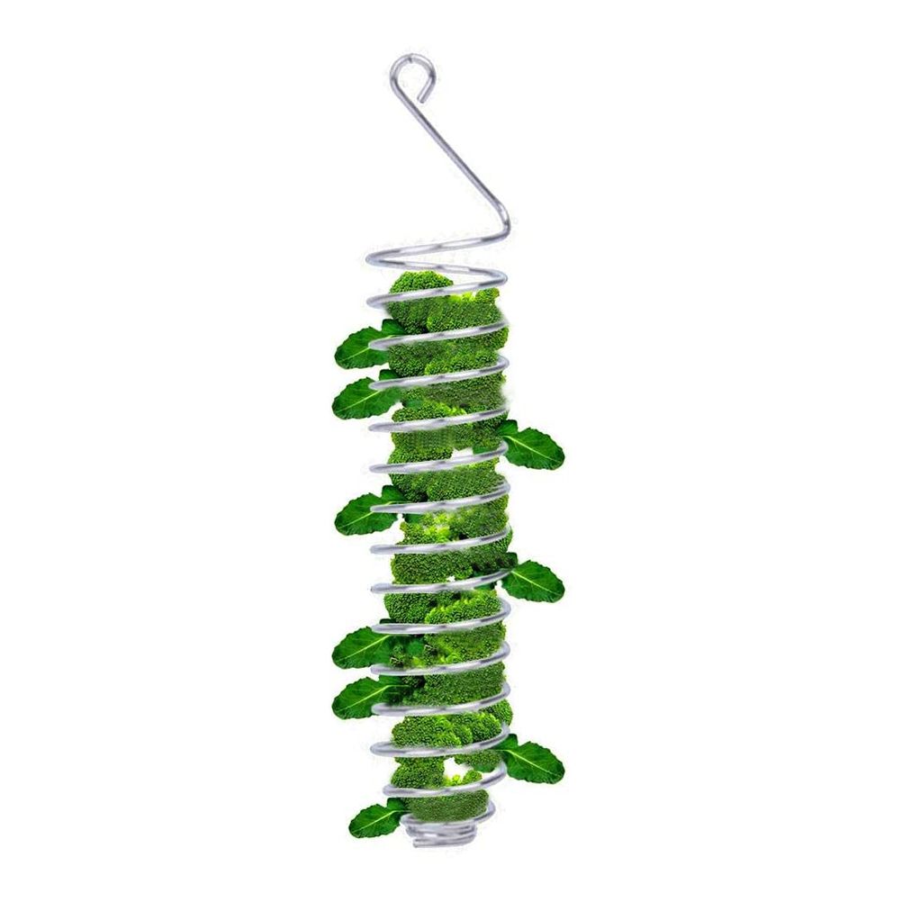 Stainless Steel Bird Fruit Vegetable Holder Bird Food Basket Skewers for Parrots Cockatiels Birds