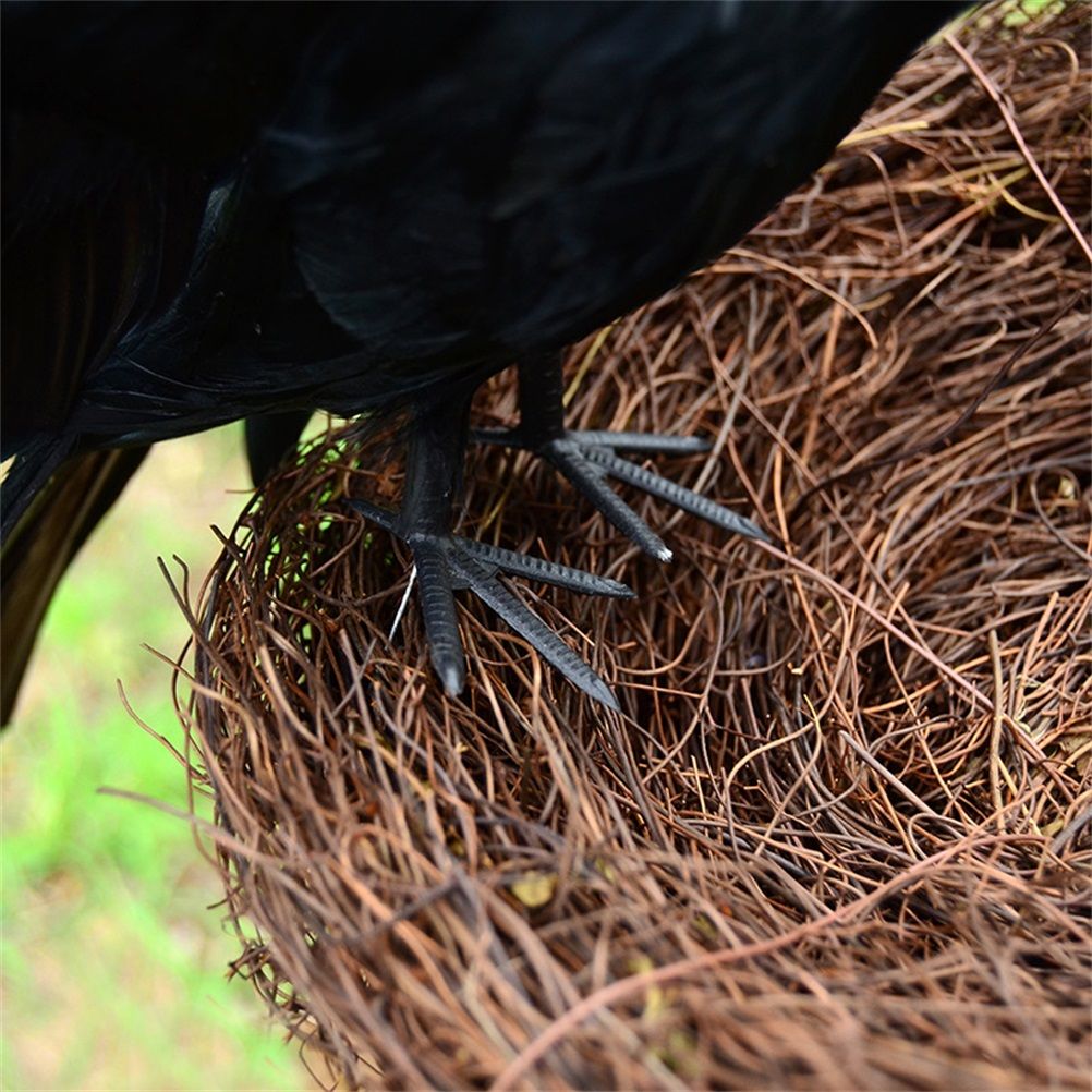 Black Crow Decoration Halloween Realistic Feathered Crows Haunted House Decor for Party Decoration Supplies