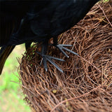Black Crow Decoration Halloween Realistic Feathered Crows Haunted House Decor for Party Decoration Supplies