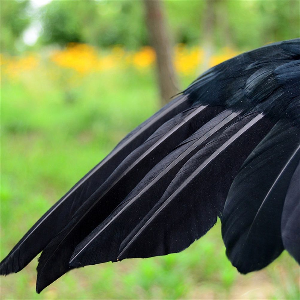 Black Crow Decoration Halloween Realistic Feathered Crows Haunted House Decor for Party Decoration Supplies