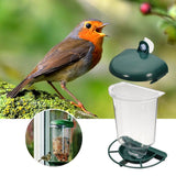 Transparent Bird Feeder Automatic Plastic Bird Feeder with Suction Cups - Side View