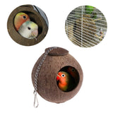 1PC Natural Coconut Shell Bird Nest Pet Bird Feeder Toy with 6cm Hole - Top-Down View