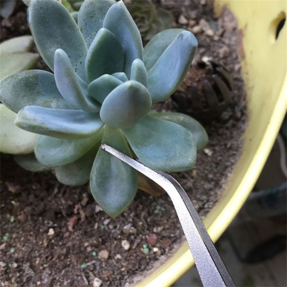 2 in 1 Bonsai Root Rake Stainless Steel Garden Tweezers Garden Tool