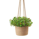 2PCS Braided Plant Basket Hanging Plant Pots Plant Hanger Plant Basket Wall Decoration Flower Pots - Top-Down View