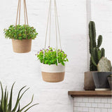 2PCS Braided Plant Basket Hanging Plant Pots Plant Hanger Plant Basket Wall Decoration Flower Pots - Rear View