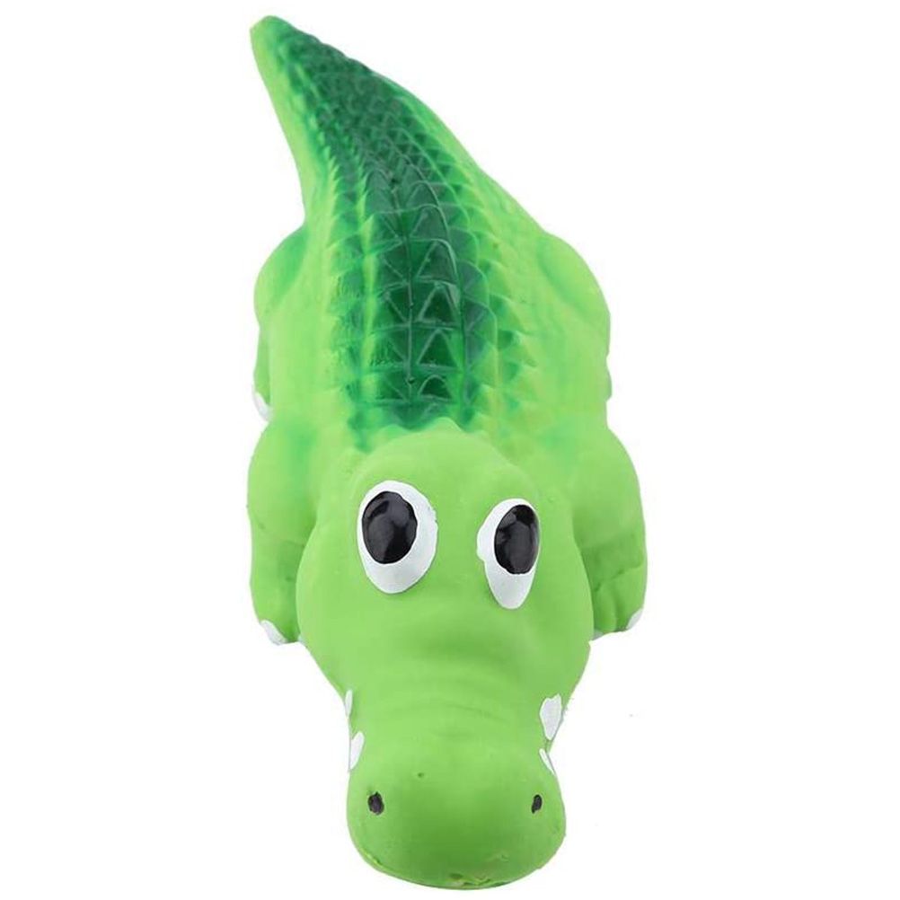Pet Chew Toy Pet Dog Training Toy Latex Dog Toy Squeaky Teeth Resistance Tough Interactive Squeaky Dog Toy