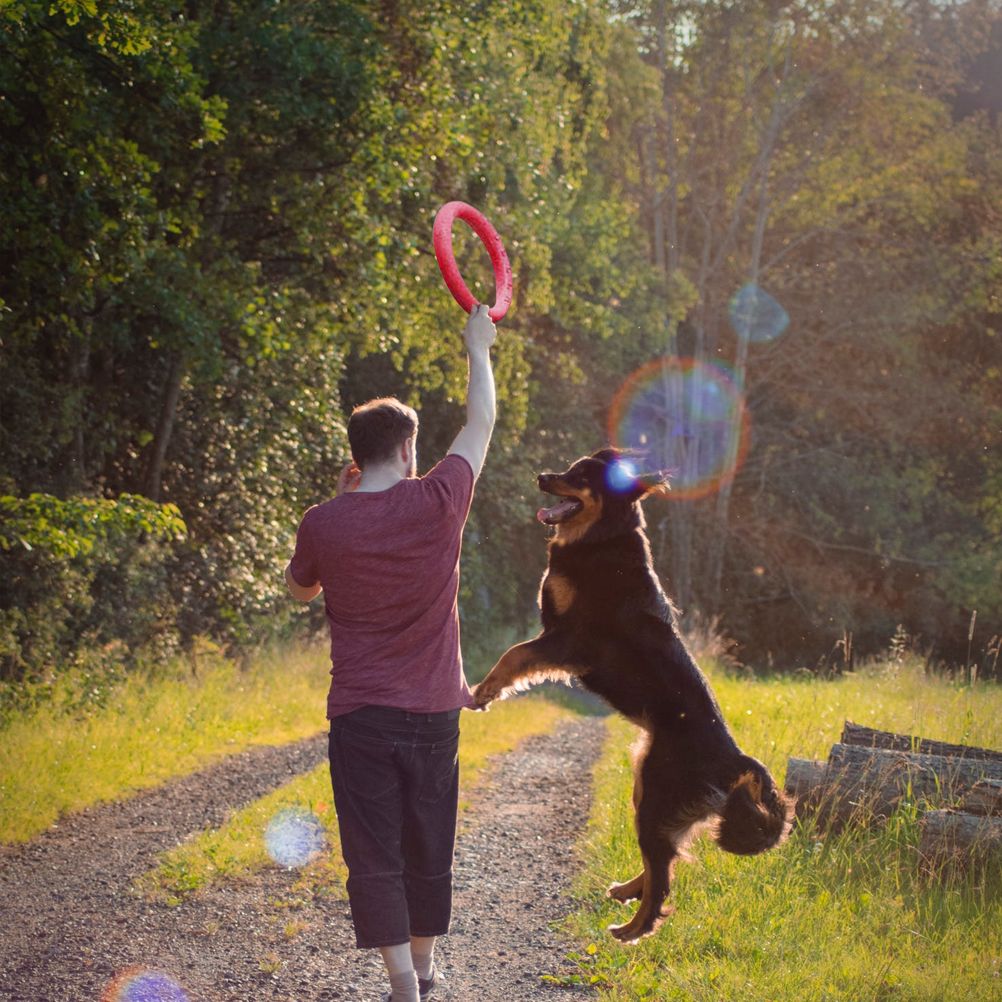 Pet Ring EVA Training Exercise Rings Dog Flying Discs Outdoor Floating Interactive Toy